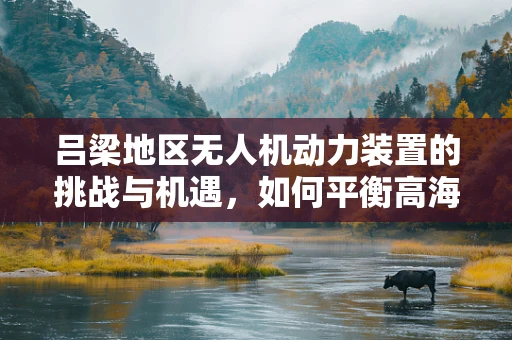 吕梁地区无人机动力装置的挑战与机遇，如何平衡高海拔与低温环境下的性能？