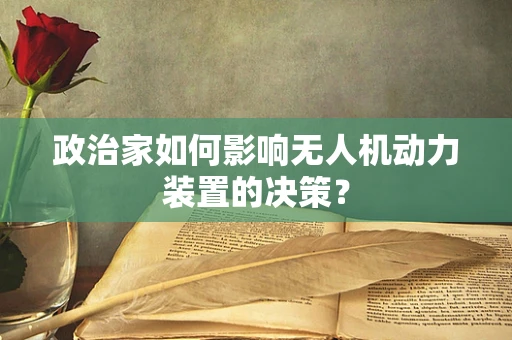 政治家如何影响无人机动力装置的决策？
