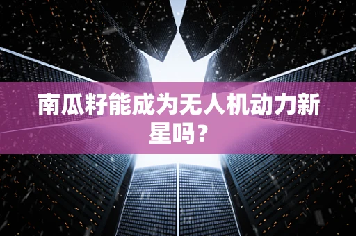 南瓜籽能成为无人机动力新星吗？