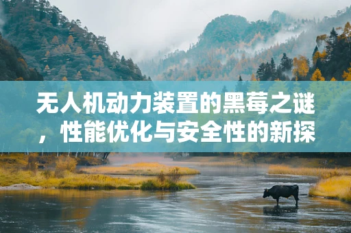 无人机动力装置的黑莓之谜，性能优化与安全性的新探索？