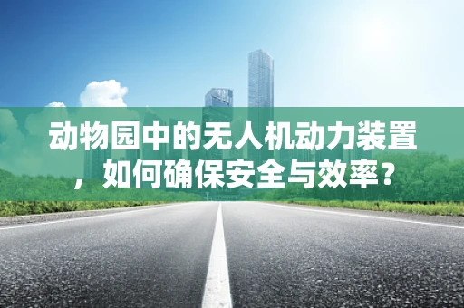 动物园中的无人机动力装置，如何确保安全与效率？