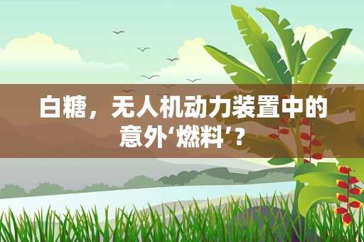 白糖，无人机动力装置中的意外‘燃料’？