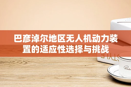 巴彦淖尔地区无人机动力装置的适应性选择与挑战