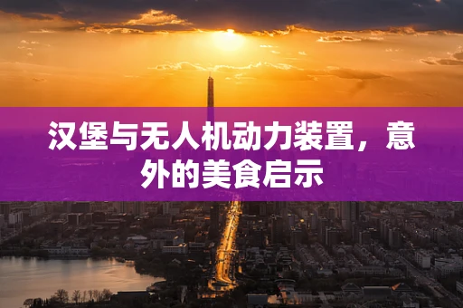 汉堡与无人机动力装置，意外的美食启示