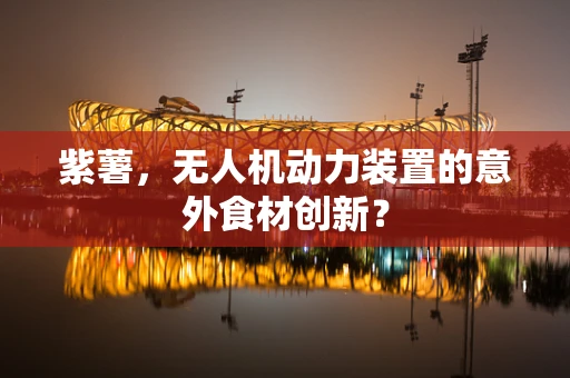 紫薯，无人机动力装置的意外食材创新？