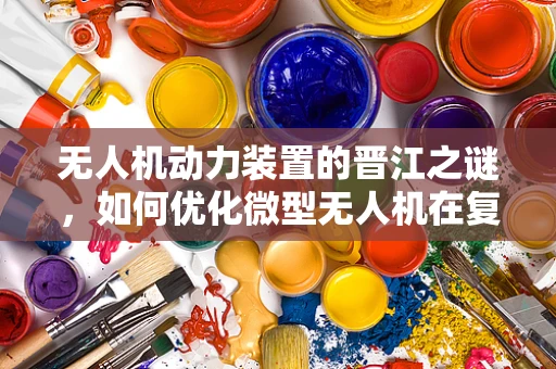 无人机动力装置的晋江之谜，如何优化微型无人机在复杂地形中的续航能力？