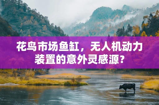 花鸟市场鱼缸，无人机动力装置的意外灵感源？