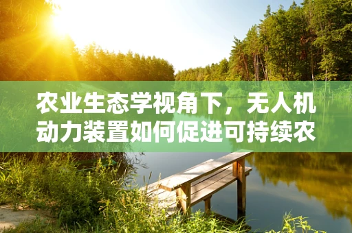 农业生态学视角下，无人机动力装置如何促进可持续农业发展？