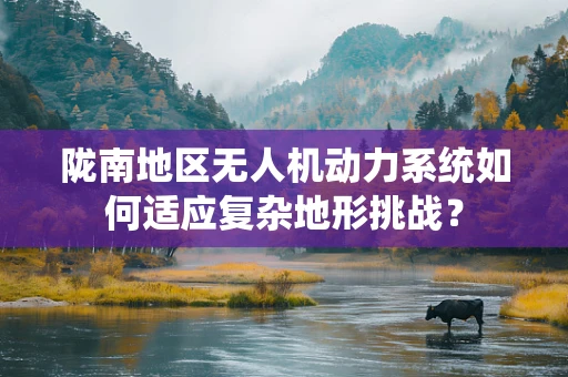 陇南地区无人机动力系统如何适应复杂地形挑战？