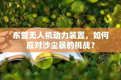 东营无人机动力装置，如何应对沙尘暴的挑战？