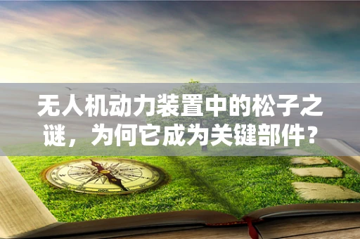 无人机动力装置中的松子之谜，为何它成为关键部件？