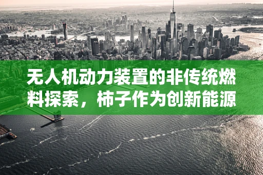 无人机动力装置的非传统燃料探索，柿子作为创新能源的潜力