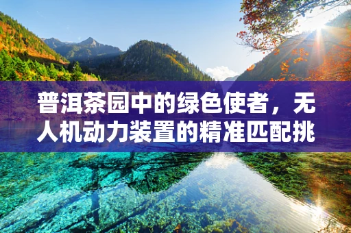 普洱茶园中的绿色使者，无人机动力装置的精准匹配挑战
