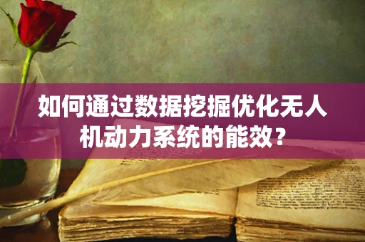 如何通过数据挖掘优化无人机动力系统的能效？