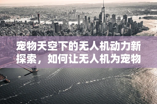 宠物天空下的无人机动力新探索，如何让无人机为宠物用品配送插上翅膀？
