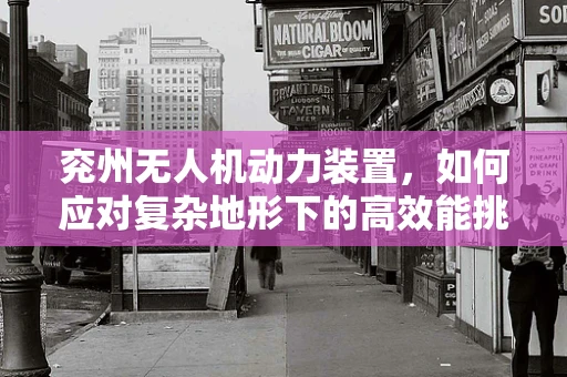 兖州无人机动力装置，如何应对复杂地形下的高效能挑战？