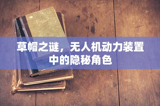 草帽之谜，无人机动力装置中的隐秘角色