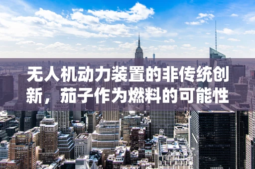 无人机动力装置的非传统创新，茄子作为燃料的可能性？