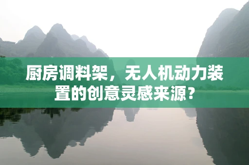 厨房调料架，无人机动力装置的创意灵感来源？