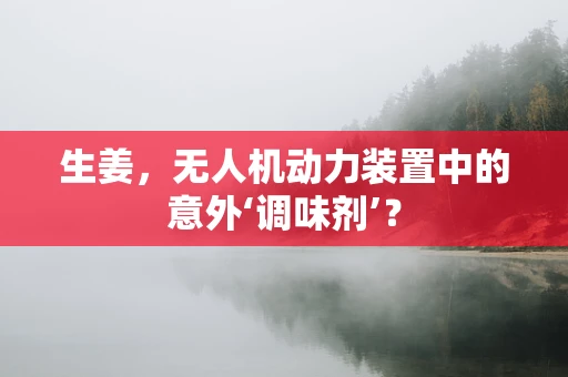 生姜，无人机动力装置中的意外‘调味剂’？