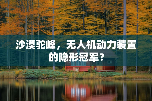 沙漠驼峰，无人机动力装置的隐形冠军？