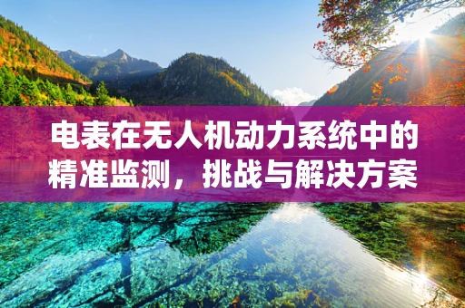 电表在无人机动力系统中的精准监测，挑战与解决方案
