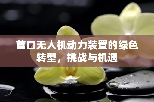 营口无人机动力装置的绿色转型，挑战与机遇