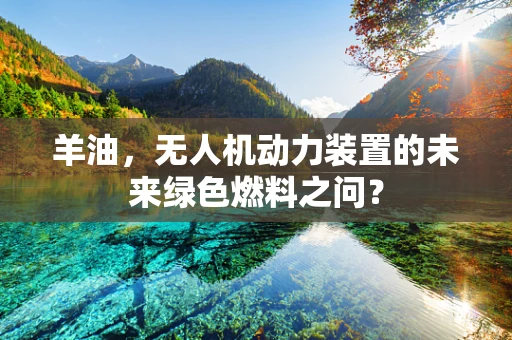 羊油，无人机动力装置的未来绿色燃料之问？