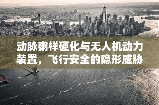 动脉粥样硬化与无人机动力装置，飞行安全的隐形威胁？