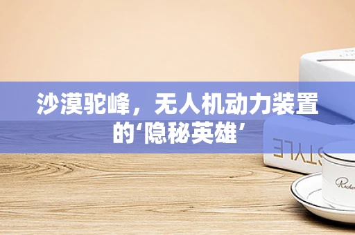 沙漠驼峰，无人机动力装置的‘隐秘英雄’