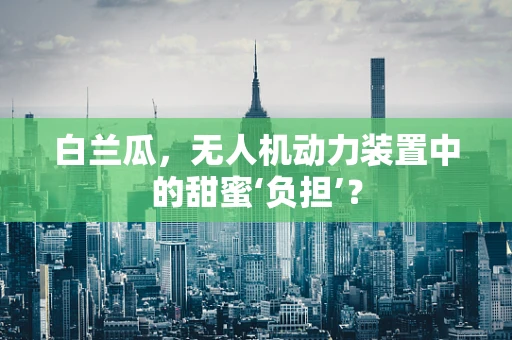 白兰瓜，无人机动力装置中的甜蜜‘负担’？