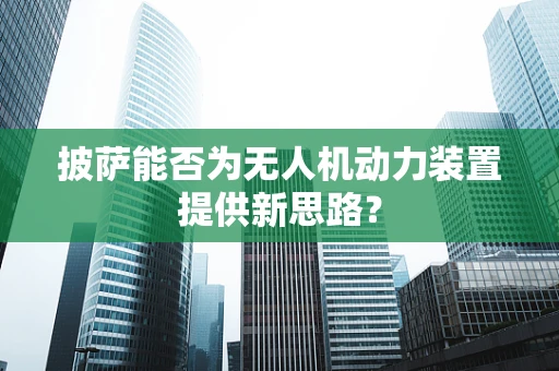披萨能否为无人机动力装置提供新思路？