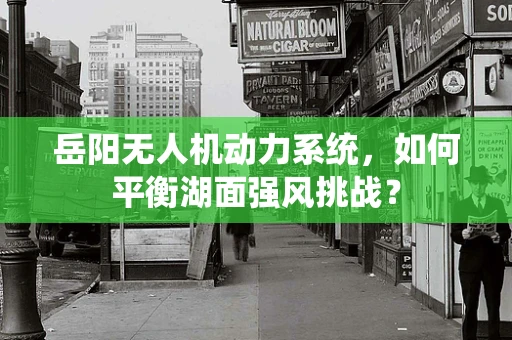 岳阳无人机动力系统，如何平衡湖面强风挑战？
