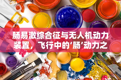 肠易激综合征与无人机动力装置，飞行中的‘肠’动力之谜