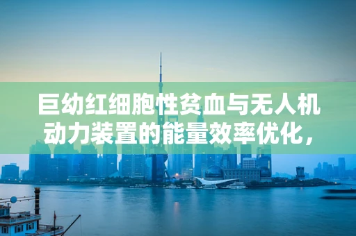 巨幼红细胞性贫血与无人机动力装置的能量效率优化，有何潜在联系？
