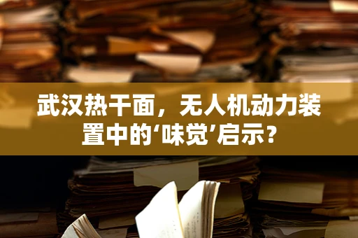 武汉热干面，无人机动力装置中的‘味觉’启示？