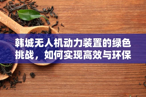 韩城无人机动力装置的绿色挑战，如何实现高效与环保的双重飞跃？