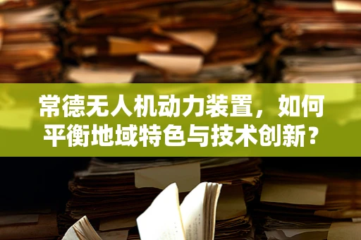 常德无人机动力装置，如何平衡地域特色与技术创新？