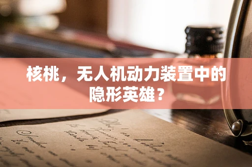 核桃，无人机动力装置中的隐形英雄？