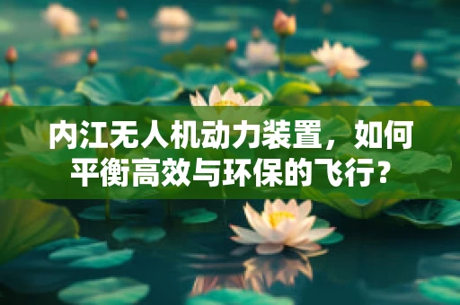 内江无人机动力装置，如何平衡高效与环保的飞行？