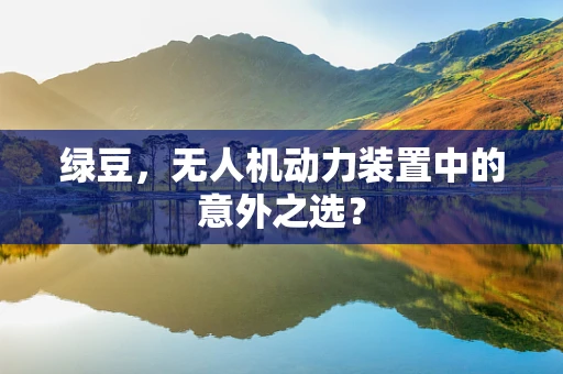 绿豆，无人机动力装置中的意外之选？
