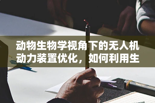 动物生物学视角下的无人机动力装置优化，如何利用生物飞行原理？