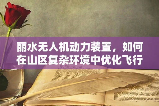 丽水无人机动力装置，如何在山区复杂环境中优化飞行性能？