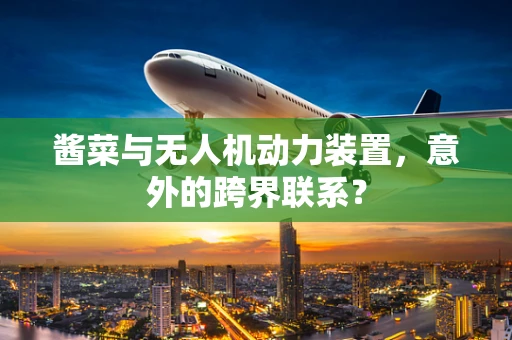 酱菜与无人机动力装置，意外的跨界联系？