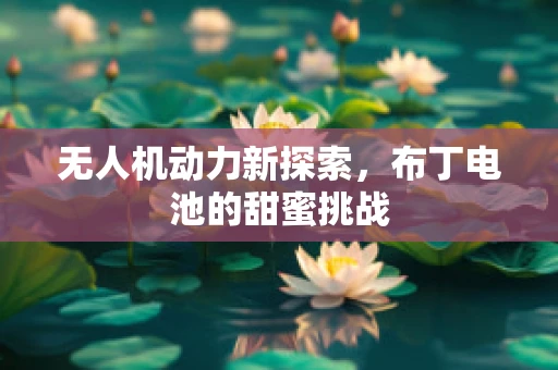 无人机动力新探索，布丁电池的甜蜜挑战