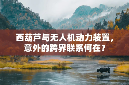 西葫芦与无人机动力装置，意外的跨界联系何在？