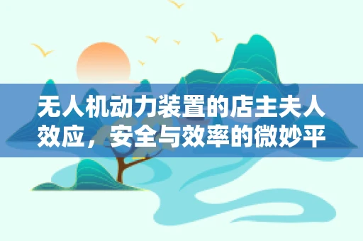 无人机动力装置的店主夫人效应，安全与效率的微妙平衡