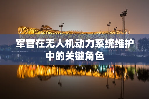军官在无人机动力系统维护中的关键角色