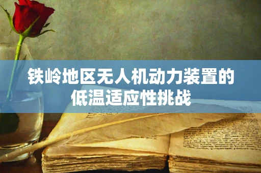 铁岭地区无人机动力装置的低温适应性挑战