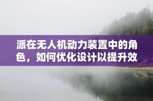 派在无人机动力装置中的角色，如何优化设计以提升效率？